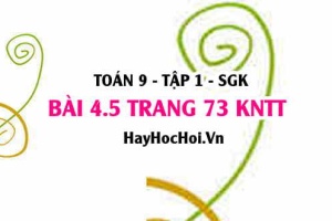 Bài 4.5 trang 73 Toán 9 tập 1 Kết nối tri thức